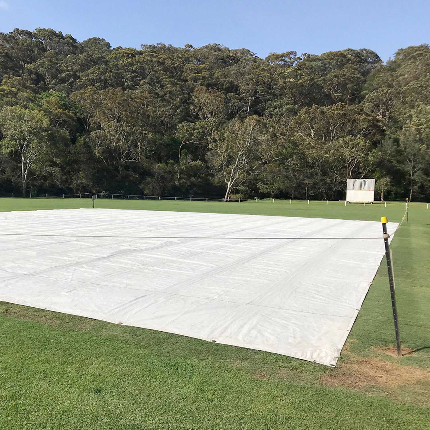 PE-Cricket-Pitch-Cover