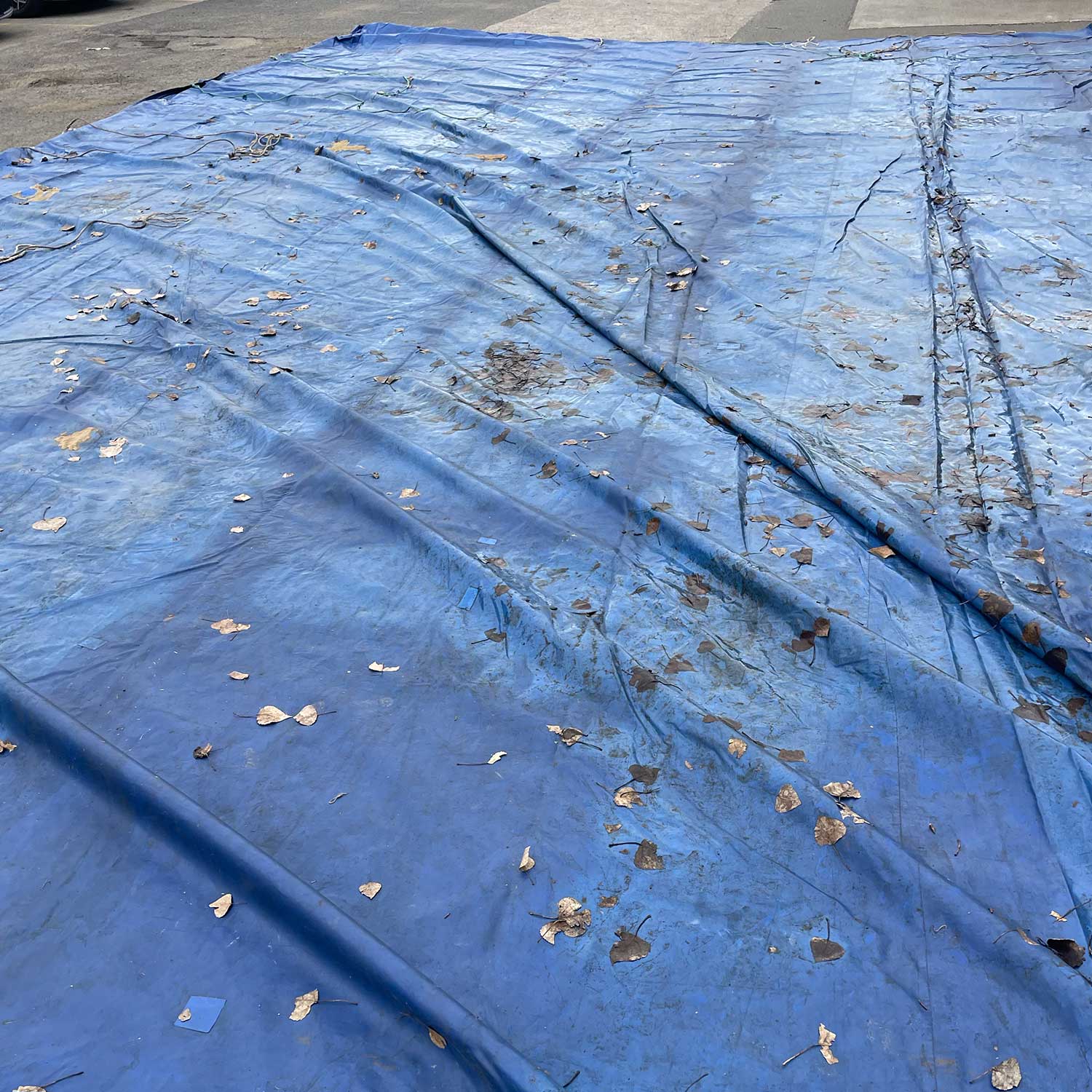 **CLEARANCE** Ex Hire Builders Roof Tarp 6m x 9m - Image 3